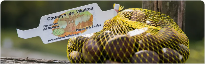 Fotografia de Castanya de Viladrau